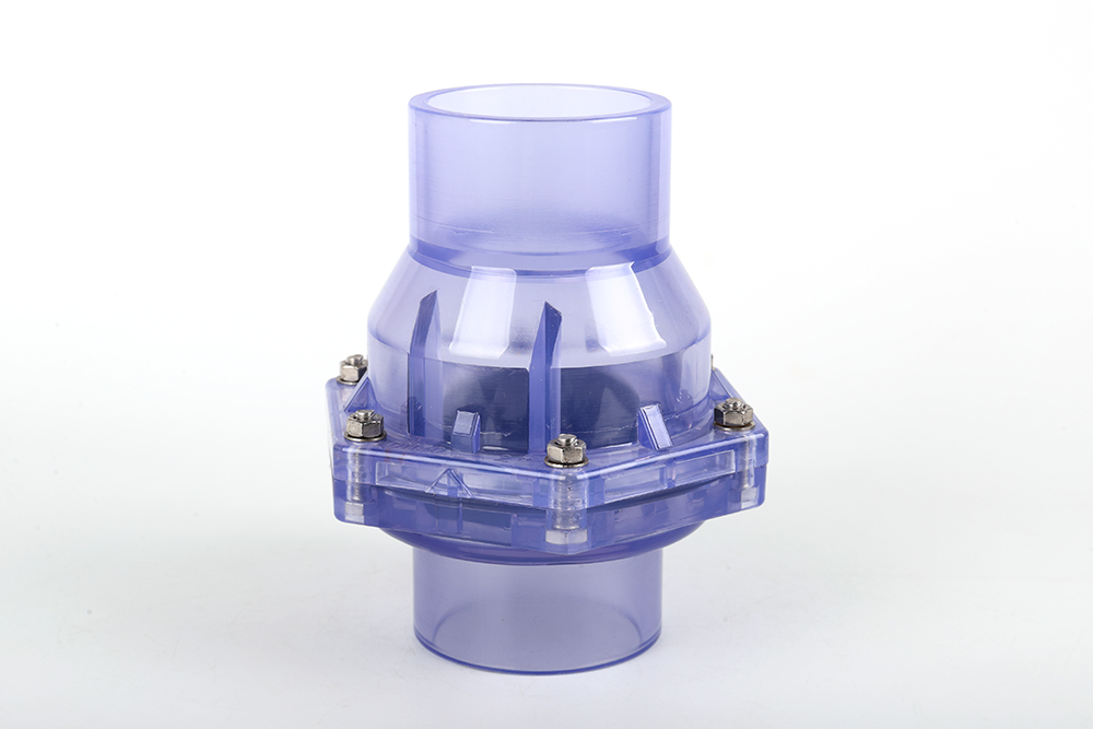 华南热作学院透明翻板式止回阀